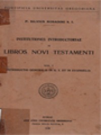 Image of Institutiones Introductoriae In Libros Novi Testamenti I: Introductio Generalis In N. T. Et In Evangelia