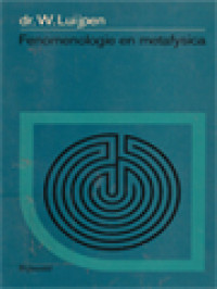 Image of Fenomenologie En Metafysica