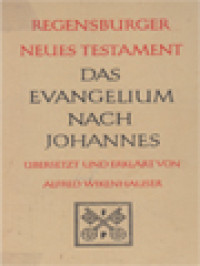 Image of Das Evangelium Nach Johannes