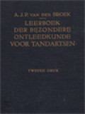 Leerboek Der Bij Zondere Ontleedkunde Voor Tandartsen