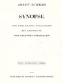 Synopse: Der Drei Ersten Evangelien Mit Beifügung Der Johannes Parallelen