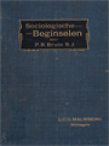 Sociologische Beginselen: Leiddraad Bij De Studie Der Sociale Quaestie