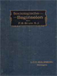 Image of Sociologische Beginselen: Leiddraad Bij De Studie Der Sociale Quaestie