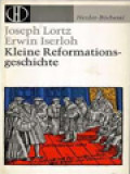 Kleine Reformationsgeschichte: Ursachen - Verlauf - Wirkung