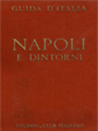 Image of Nápoli E Dintorni: Guida D'Italia Del Touring Club Italiano