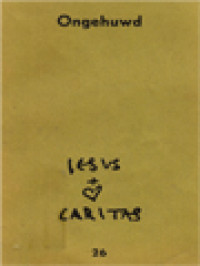 Image of Jesus Caritas 26: Ongehuwd