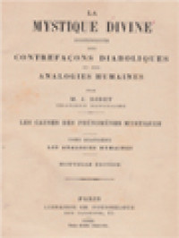 La Mystique Divine Distinguee Des Contrefacons Diaboliques Et Des Analogies Humaines IV: Les Causes Des Phénomènes Mystiques: Les Analogies Humaines