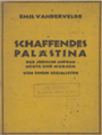 Schaffendes Palästina: Der Jüdische Aufbau Heute Und Morgen Von Einem Sozialisten