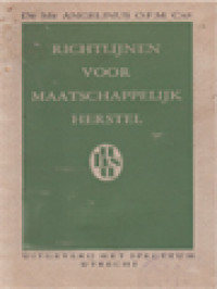 Image of Richtlijnen Voor Maatschappelijk Herstel