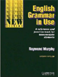 Image of English Grammar In Use: A Reference And Practice Book For Intermediate Students