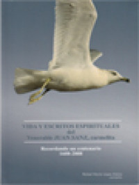 Image of Vida Y Escritos Espirituales Del Venerable Juan Sanz, Carmelita. Recordando Un Centenario 1608-2008