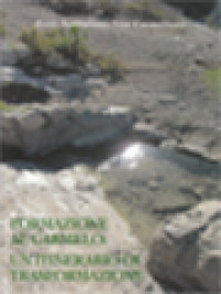 Image of Formación Al Carmelo: Un Itinerario De Transformación