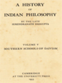 Image of A History Of Indian Philosophy V: Southern School Of Śaivism