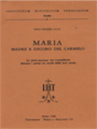 Maria Madre E Decoro Del Carmelo: La Pietà Mariana Dei Carmelitani Durante I Primi Tre Secoli Della Loro Storia