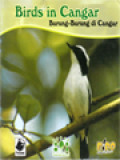 Burung-Burung Di Cangar