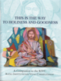 Image of This Is The Way To Holiness And Goodness: A Companio To The RIVC (Ratio Institutionis Vitae Carmelitanae)