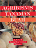 Agribisnis Tanaman Buah