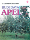 Budi Daya Apel