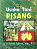 Usaha Tani Pisang