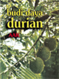 Budi Daya Durian