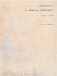 Image of The Politics Of American Democracy