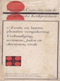 Pastoraal Concilie Van De Nederlandse Kerkprovincie 6: Vijfde Plenaire Vergadering - De Religieuzen En De Ambtsbediening