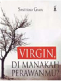 Image of Virgin, Di Manakah Perawanmu?
