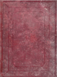 Image of Commentarii In Scripturam Sacram X: In Acta Apostolorum, Epistolas Canonicas Et Apocalypsin