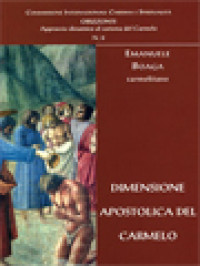 Image of Dimensione Apostolica Del Carmelo