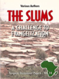 Image of The Slums: A Challenge To Evangelization / Francesco Pierli, Yago Abeledo (Edited)