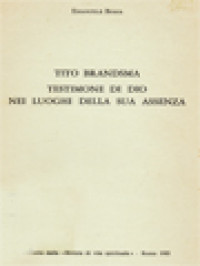 Tito Brandsma, Testimone Di Dio Nei Luoghi Della Sua Assenza