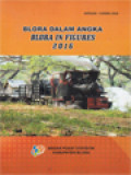 Blora Dalam Angka - Blora In Figures 2016