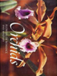 Image of Orchids Flowers Of Romance And Mystery