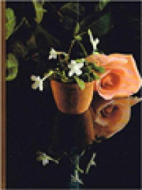 Image of Miniatures And Bonsai