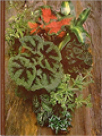 Image of Foliage House Plants