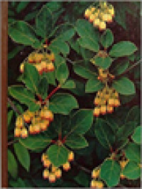 Image of Flowering Shrubs