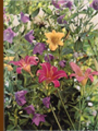 Image of Perennials