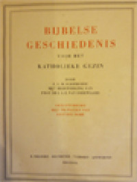 Bijbelse Geschiedenis Voor Het Katholieke Gezin: Geillustreerd Met 100 Platen Van Gustave Dore