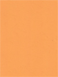 Image of Ketika Penderitaan Itu Begitu Manis! - Hanya Karena Cinta: Bacaan Harian Bersama St. Theresia Lisieux