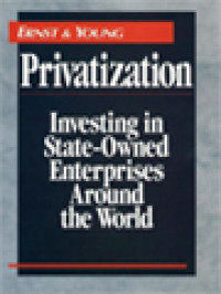 Image of Privatization: Investing In State-Owned Enterprises Around The World