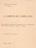 Il Cammino Dei Carmelitani: Esperienza Originaria Fontale E Sua Rilettura Nell'Ordine Lungo I Secoli E Oggi