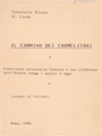 Il Cammino Dei Carmelitani: Esperienza Originaria Fontale E Sua Rilettura Nell'Ordine Lungo I Secoli E Oggi