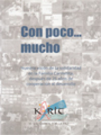 Con Poco... Mucho: Nuestra Visión De La Solidaridad En La Familia Carmelita, Después De 25 Años de Cooperación Al Desarrollo