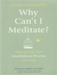 Why Can't I Meditate?: How To Get Your Mindfulness Practice On Track