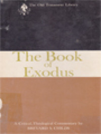 Image of The Book Of Exodus: A Critical, Theological Commentary