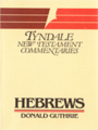 Image of The Letter To The Hebrews: An Introduction And Commentary