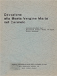 Devozione Alla Beata Vergine Maria Del Carmelo: Lettera Circolare Del Rev. mo. P. Kiliano Healy, O.Carm., Priore Generale