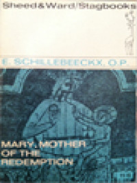 Image of Mary Mother Of The Redemption: The Religious Bases Of The Mystery Of Mary