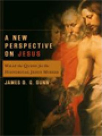 A New Perspective On Jesus: What The Quest For The Historical Jesus Missed