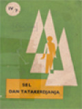 Sel Dan Tatakerjanya